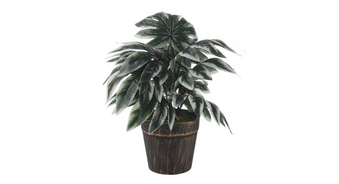 Roxanne Artificial Plant by Urban Ladder - Cross View Design 1 - 337941