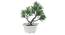 Sally Artificial Plant by Urban Ladder - Cross View Design 1 - 337942