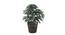 Roxanne Artificial Plant by Urban Ladder - Rear View Design 1 - 337951