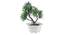 Sally Artificial Plant by Urban Ladder - Rear View Design 1 - 337952
