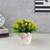Valencia artificial plant white lp