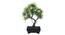 Sybil Artificial Plant by Urban Ladder - Front View Design 1 - 337984