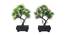 Tabitha Artificial Plant by Urban Ladder - Front View Design 1 - 337985