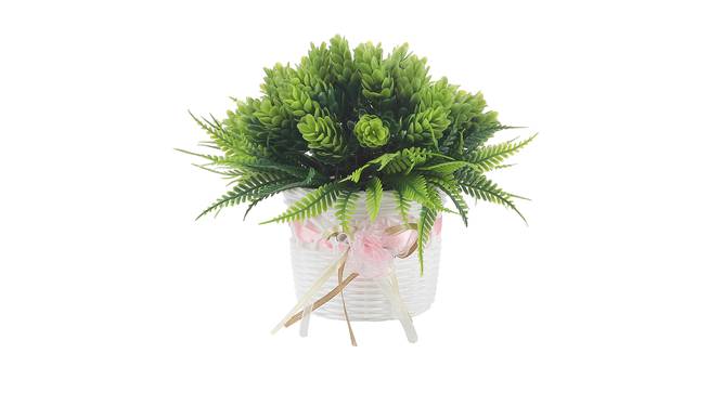 Ursula Artificial Plant by Urban Ladder - Front View Design 1 - 337991