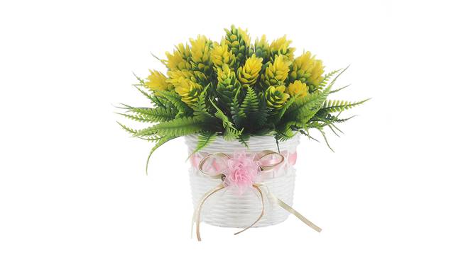 Valencia Artificial Plant by Urban Ladder - Front View Design 1 - 337992