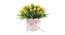 Valencia Artificial Plant by Urban Ladder - Front View Design 1 - 337992