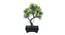 Sybil Artificial Plant by Urban Ladder - Cross View Design 1 - 337995