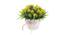 Valencia Artificial Plant by Urban Ladder - Cross View Design 1 - 338003