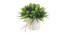 Verity Artificial Plant by Urban Ladder - Cross View Design 1 - 338005