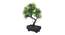 Sybil Artificial Plant by Urban Ladder - Rear View Design 1 - 338006