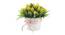 Valencia Artificial Plant by Urban Ladder - Rear View Design 1 - 338014