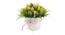 Verity Artificial Plant by Urban Ladder - Rear View Design 1 - 338016