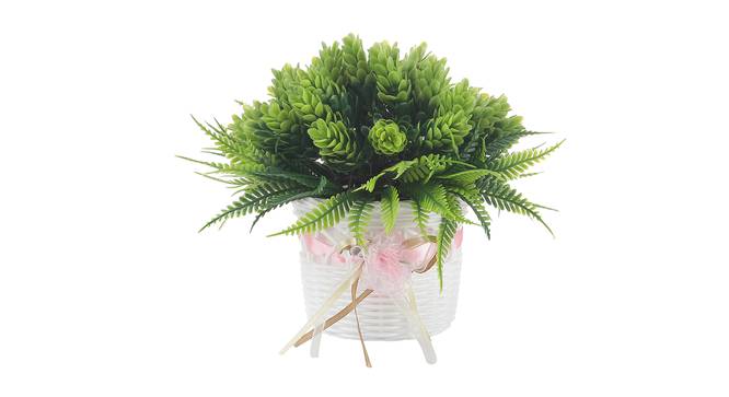 Vida Artificial Plant by Urban Ladder - Front View Design 1 - 338041