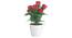 Zinnia Artificial Plant by Urban Ladder - Front View Design 1 - 338048