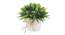 Vida Artificial Plant by Urban Ladder - Cross View Design 1 - 338050