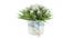 Vida Artificial Plant by Urban Ladder - Rear View Design 1 - 338059