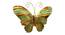 Inaya Butterfly Wall Decor by Urban Ladder - Front View Design 1 - 338514