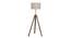 Giselle Floor Lamp (Natural, Brown Shade Colour) by Urban Ladder - Front View Design 1 - 338684