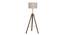 Giselle Floor Lamp (Natural, Brown Shade Colour) by Urban Ladder - Front View Design 1 - 338684