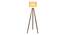 Fleur Floor Lamp (Natural, Brown Shade Colour) by Urban Ladder - Front View Design 1 - 338690