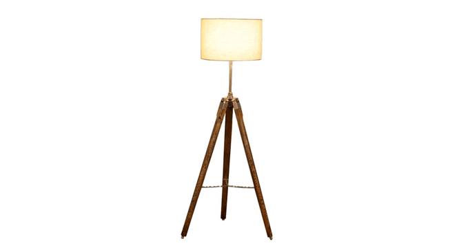 Giselle Floor Lamp (Natural, Brown Shade Colour) by Urban Ladder - Front View Design 1 - 338692