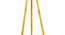 Celine Floor Lamp (Yellow, Brown Shade Colour) by Urban Ladder - Design 1 Close View - 338705