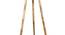 Fleur Floor Lamp (Natural, Brown Shade Colour) by Urban Ladder - Design 1 Close View - 338706