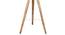 Giselle Floor Lamp (Natural, Brown Shade Colour) by Urban Ladder - Design 1 Close View - 338708