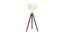 Madeleine Floor Lamp (Brown Shade Colour, Walnut) by Urban Ladder - Front View Design 1 - 338723
