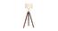 Madeleine Floor Lamp (Brown Shade Colour, Walnut) by Urban Ladder - Front View Design 1 - 338723