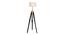 Lorelai Floor Lamp (Black, Brown Shade Colour) by Urban Ladder - Front View Design 1 - 338724