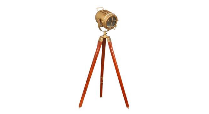 Mirabelle Floor Lamp (Walnut, Antique Brass Shade Colour) by Urban Ladder - Front View Design 1 - 338726