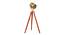 Mirabelle Floor Lamp (Walnut, Antique Brass Shade Colour) by Urban Ladder - Front View Design 1 - 338726