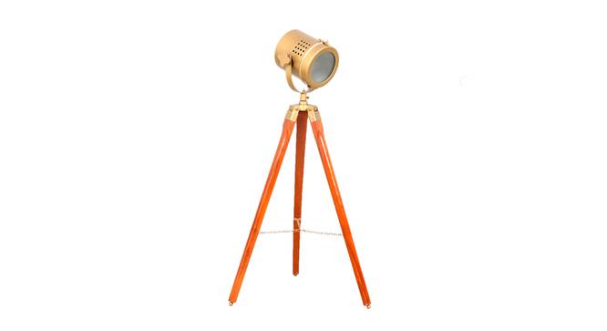 Oceane Floor Lamp (Walnut, Antique Brass Shade Colour) by Urban Ladder - Front View Design 1 - 338727