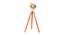 Oceane Floor Lamp (Walnut, Antique Brass Shade Colour) by Urban Ladder - Front View Design 1 - 338727