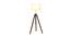 Madeleine Floor Lamp (Brown Shade Colour, Walnut) by Urban Ladder - Front View Design 1 - 338731