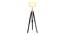 Lorelai Floor Lamp (Black, Brown Shade Colour) by Urban Ladder - Front View Design 1 - 338732