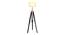 Lorelai Floor Lamp (Black, Brown Shade Colour) by Urban Ladder - Front View Design 1 - 338732