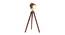 Mirabelle Floor Lamp (Walnut, Antique Brass Shade Colour) by Urban Ladder - Front View Design 1 - 338734