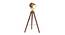 Oceane Floor Lamp (Walnut, Antique Brass Shade Colour) by Urban Ladder - Front View Design 1 - 338735