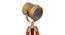 Oceane Floor Lamp (Walnut, Antique Brass Shade Colour) by Urban Ladder - Design 1 Close View - 338743