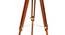 Margot Floor Lamp (Brown Shade Colour, Walnut) by Urban Ladder - Design 1 Close View - 338749