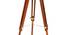 Margot Floor Lamp (Brown Shade Colour, Walnut) by Urban Ladder - Design 1 Close View - 338749