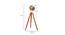 Mirabelle Floor Lamp (Walnut, Antique Brass Shade Colour) by Urban Ladder - Design 1 Dimension - 338750