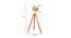 Oceane Floor Lamp (Walnut, Antique Brass Shade Colour) by Urban Ladder - Design 1 Dimension - 338751
