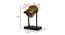 Kaira Study Lamp (Black, Antique Brass Shade Colour) by Urban Ladder - Design 1 Dimension - 338754