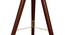 Yarine Floor Lamp (Brown Shade Colour, Walnut) by Urban Ladder - Design 1 Close View - 338770