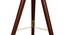 Yarine Floor Lamp (Brown Shade Colour, Walnut) by Urban Ladder - Design 1 Close View - 338770