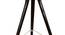 Pascale Floor Lamp (Black, Nickel Shade Colour) by Urban Ladder - Design 1 Close View - 338771