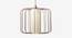 Merriam  Hanging Lamp Copper (Copper Finish) by Urban Ladder - Cross View Design 1 - 338883